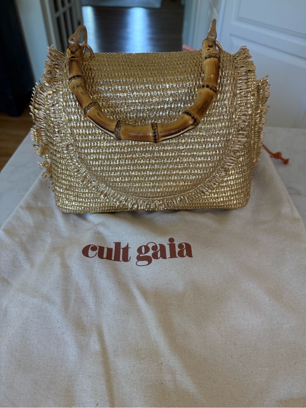 Cult Gaia Mini Ozzy Top Handle Bag Gold NWT - Picture 5 of 7